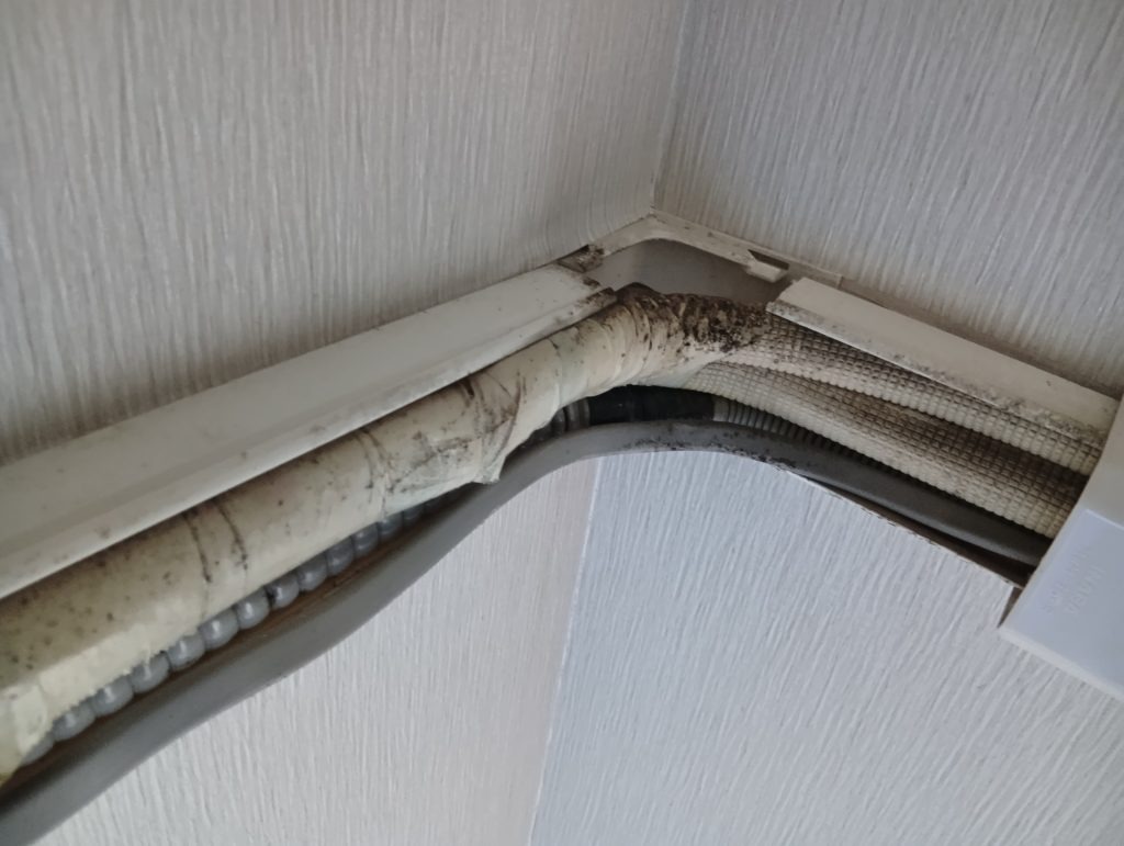 化粧カバー内部のカビ