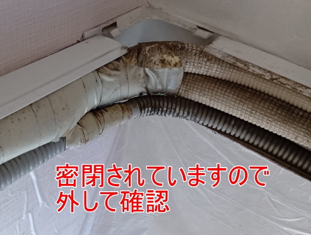 化粧配管内部のカビ