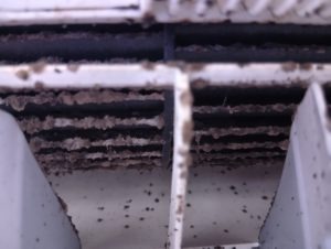 汚れたシロッコファンと吹き出し口